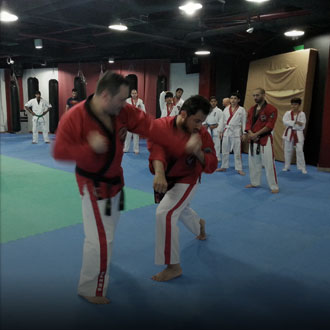 Kuwait City, Kuwait 2015